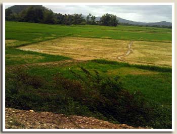 paysage de Palawan